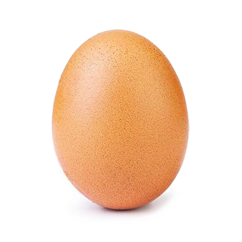 egg
